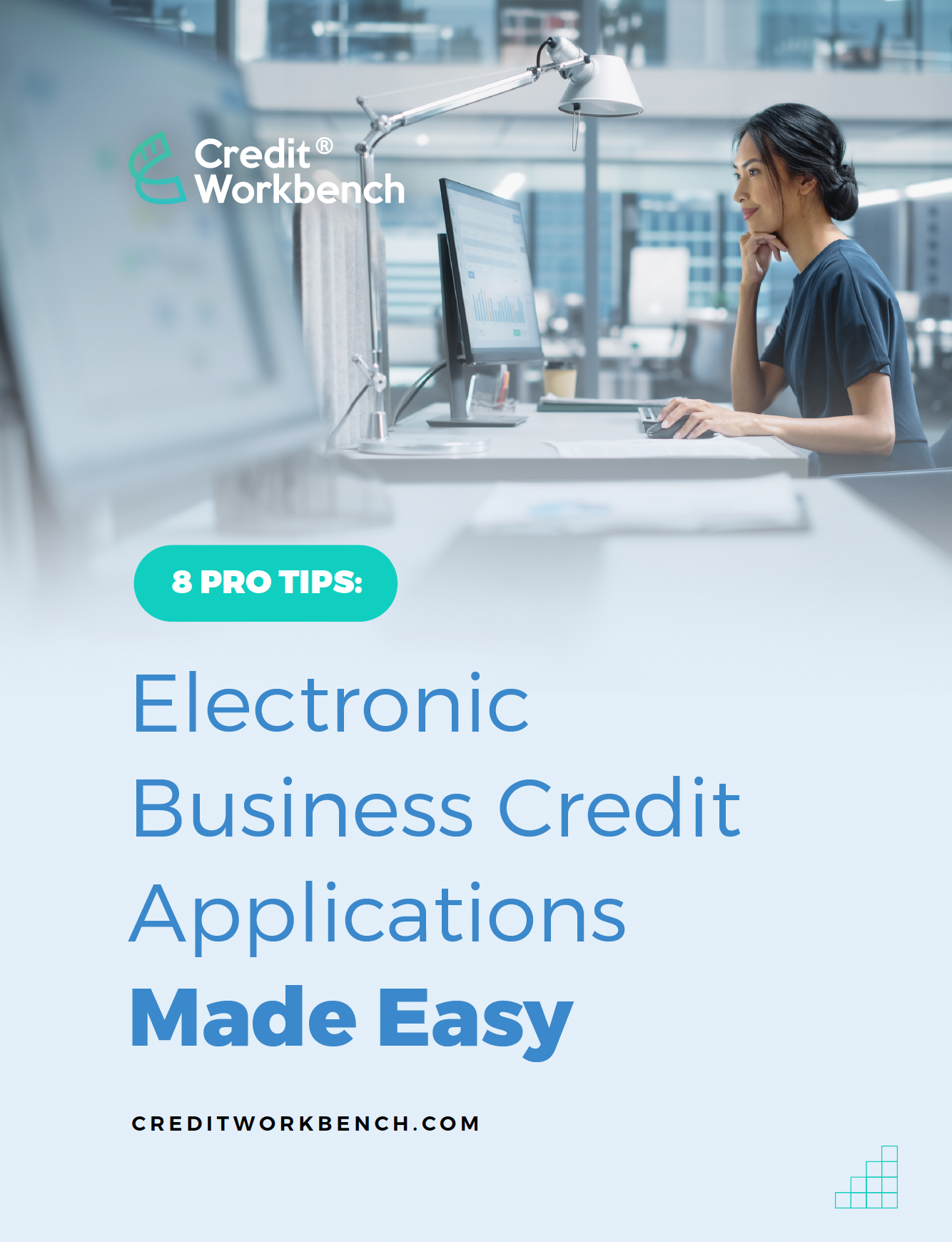 Image of the cover of an E-book about crafting the perfect credit application.